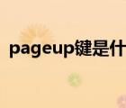 pageup键是什么（pageup键是什么意思）