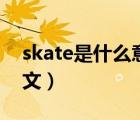 skate是什么意思中文（skate是什么意思中文）