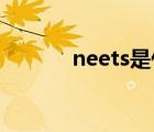 neets是什么网站（neets cc）