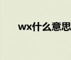 wx什么意思网络用语（wx什么意思）