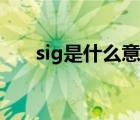 sig是什么意思中文（sig是什么意思）