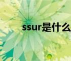 ssur是什么意思（ssur是什么牌子）