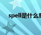 spell是什么意思啊（spell是什么意思）