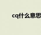 cq什么意思真正含义（cq什么意思）