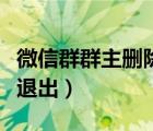 微信群群主删除聊天记录（微信群群主删除并退出）