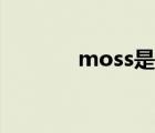 moss是什么（moss是什么）