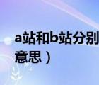 a站和b站分别是什么（a站和b站分别是什么意思）