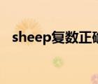 sheep复数正确写法（sheep复数是什么）