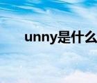 unny是什么牌子（unny是什么牌子）