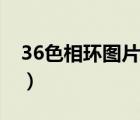 36色相环图片调色表（36色环图及调色步骤）