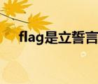 flag是立誓言（立flag是发誓的意思吗）