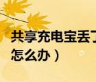 共享充电宝丢了能定位到吗（共享充电宝丢了怎么办）