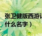 张卫健版西游记叫什么名（张卫健版西游记叫什么名字）