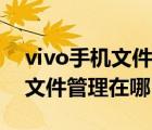 vivo手机文件管理在哪个文件夹（vivo手机文件管理在哪）