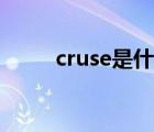 cruse是什么（cruse是什么意思）