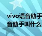 vivo语音助手可以识别主人声音吗（vivo语音助手叫什么）