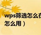 wps筛选怎么在后面显示各项数量（wps筛选怎么用）