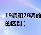 19调和28调的鱼竿有什么区别（19调和28调的区别）