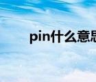 pin什么意思的缩写（pin什么意思）