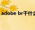 adobe br干什么的（adobe br是什么软件）