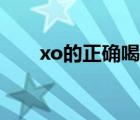 xo的正确喝法（xo兑什么饮料好喝）