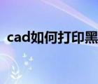 cad如何打印黑白的（cad怎么打印啊黑白）