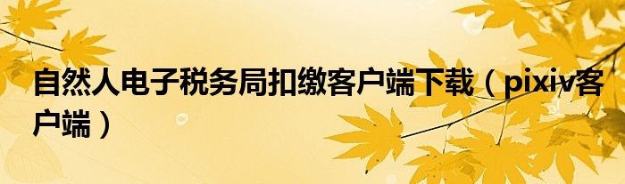 自然人电子税务局扣缴客户端下载（pixiv客户端）