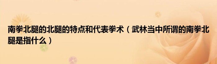 南拳北腿的北腿的特点和代表拳术（武林当中所谓的南拳北腿是指什么）