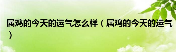 属鸡的今天的运气怎么样（属鸡的今天的运气）