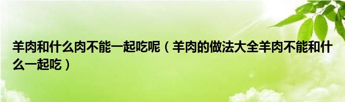 羊肉和什么肉不能一起吃呢（羊肉的做法大全羊肉不能和什么一起吃）