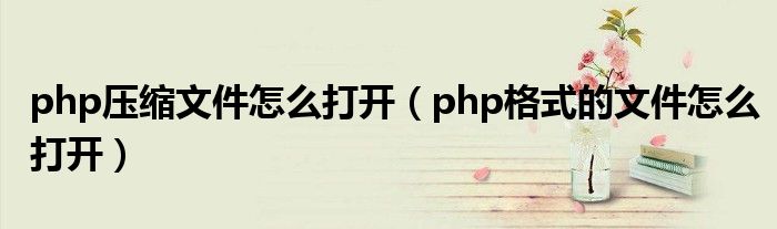 php压缩文件怎么打开（php格式的文件怎么打开）