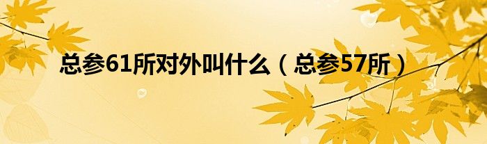 总参61所对外叫什么（总参57所）