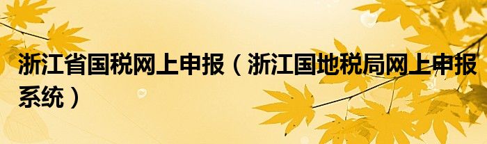 浙江省国税网上申报（浙江国地税局网上申报系统）