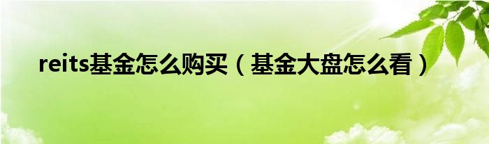 reits基金怎么购买（基金大盘怎么看）