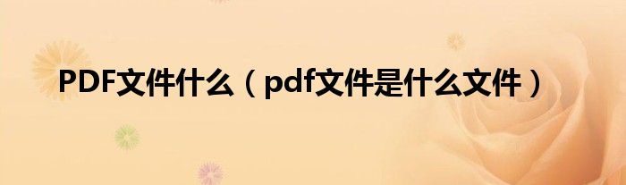 PDF文件什么（pdf文件是什么文件）