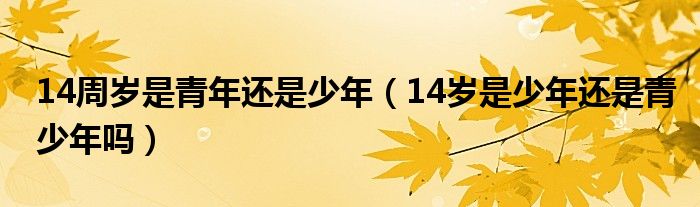 14周岁是青年还是少年（14岁是少年还是青少年吗）