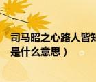 司马昭之心路人皆知的典故怎么来的（司马昭之心路人皆知是什么意思）