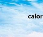 calory怎么读（calory）