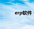 erp软件（erp系统是什么意思）