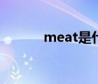 meat是什么意思中文（meat）