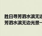 胜日寻芳泗水滨无边光景一时新意思差不多的诗句（胜日寻芳泗水滨无边光景一时新的意思）