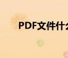 PDF文件什么（pdf文件是什么文件）