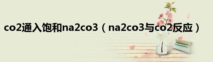 co2通入饱和na2co3（na2co3与co2反应）