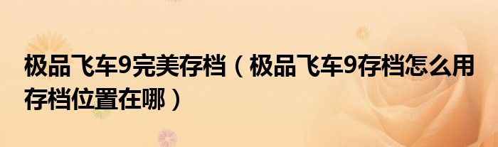 极品飞车9完美存档（极品飞车9存档怎么用 存档位置在哪）