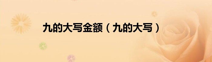 九的大写金额（九的大写）