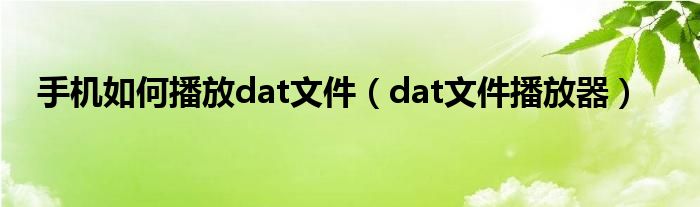 手机如何播放dat文件（dat文件播放器）