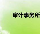 审计事务所实习周记（审计事务所）