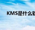 KMS是什么软件（kmspic是什么软件）