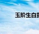 玉阶生白露打一字（玉阶生白露）