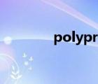 polypropylene是什么材料